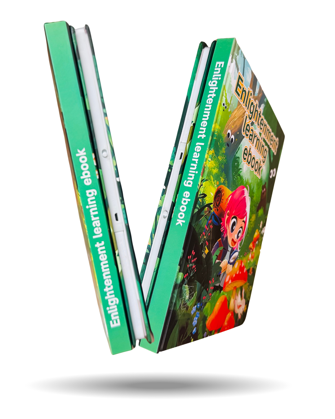 Enlignment learning ebook