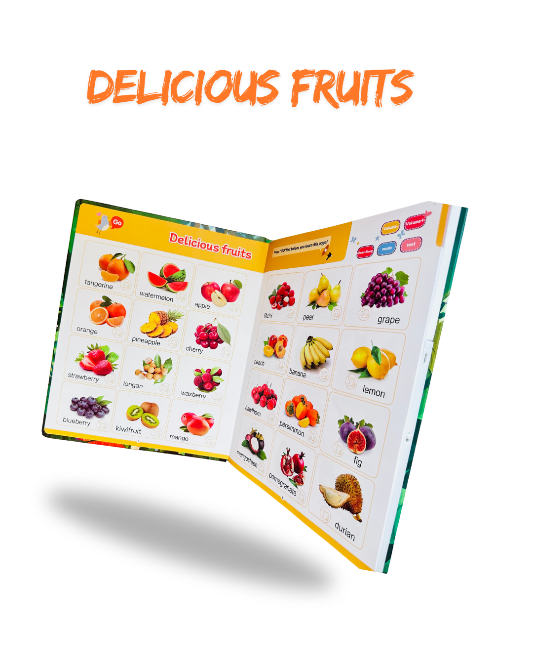 Enlignment learning ebook