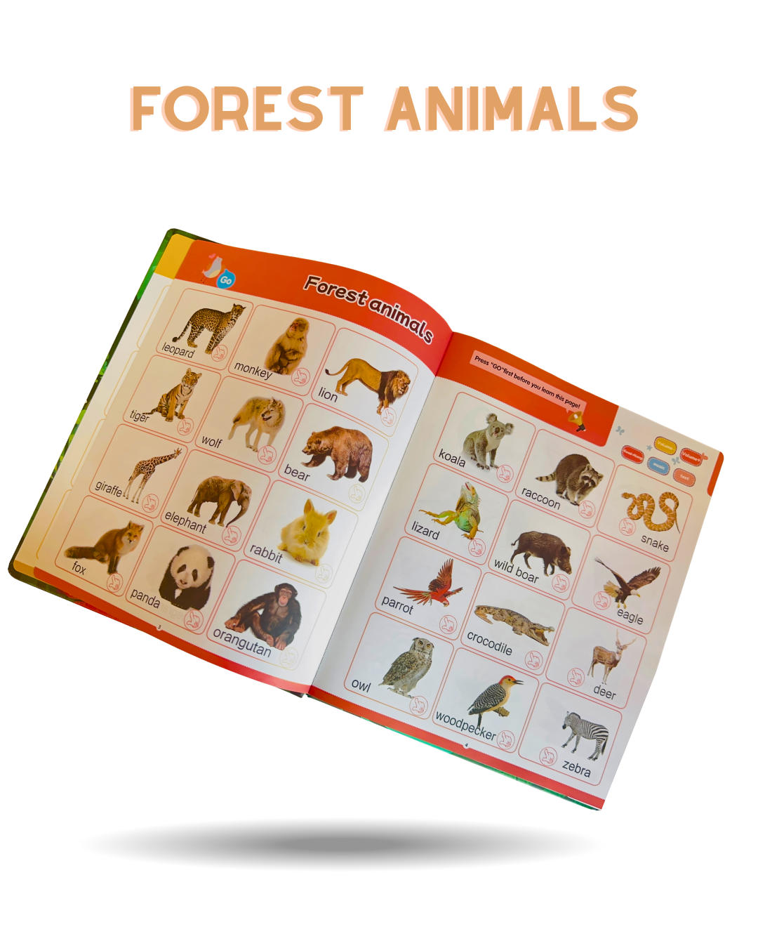 Enlignment learning ebook